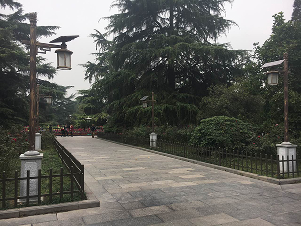 源碼太陽能路燈，太陽能路燈廠家，太陽能路燈價格