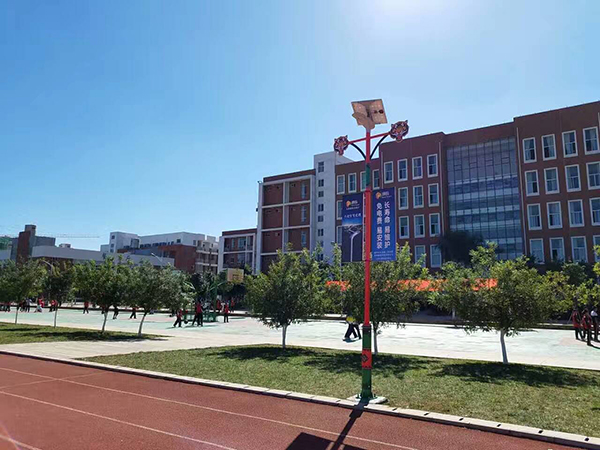 太陽能路燈，太陽能路燈廠家，太陽能路燈價格
