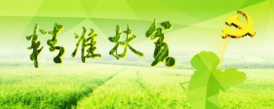 源碼助力來賓精準(zhǔn)扶貧，點(diǎn)亮新寨村幸福之路