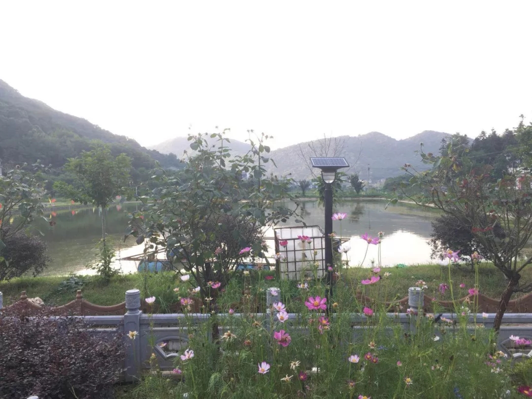 源碼，你所不知道的另一面