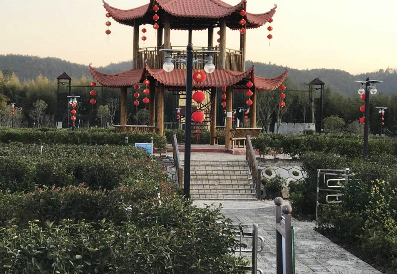 環(huán)保節(jié)能太陽能路燈優(yōu)勢比較