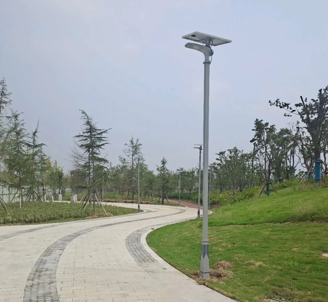 晴空排云雁高飛，源碼項(xiàng)目掀熱潮