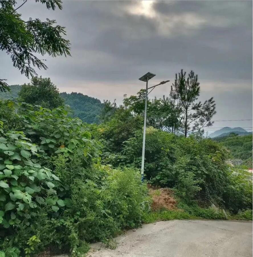 晴空排云雁高飛，源碼項(xiàng)目掀熱潮