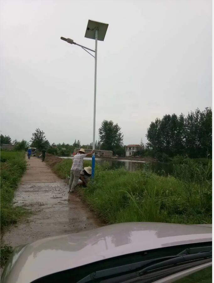 晴空排云雁高飛，源碼項(xiàng)目掀熱潮