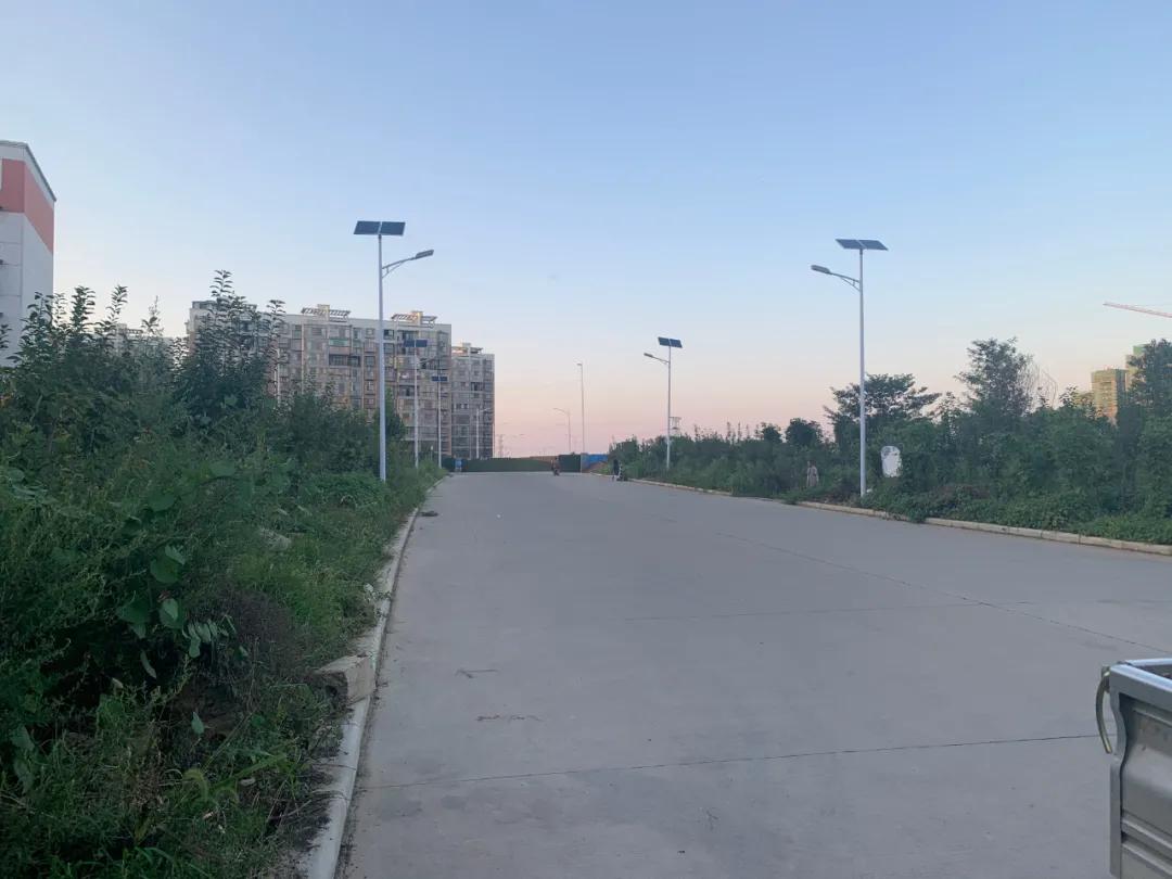云鵬燈〡九萬(wàn)里風(fēng)安稅駕，云鵬今悔不卑飛
