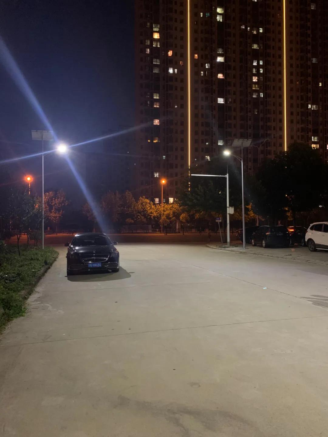 云鵬燈〡九萬(wàn)里風(fēng)安稅駕，云鵬今悔不卑飛