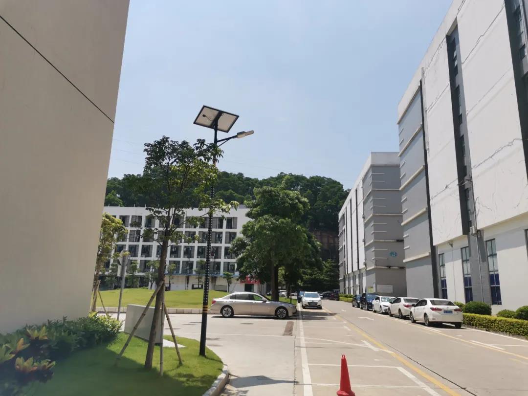 案例賞析〡云雁高飛，助力鄉(xiāng)村振興