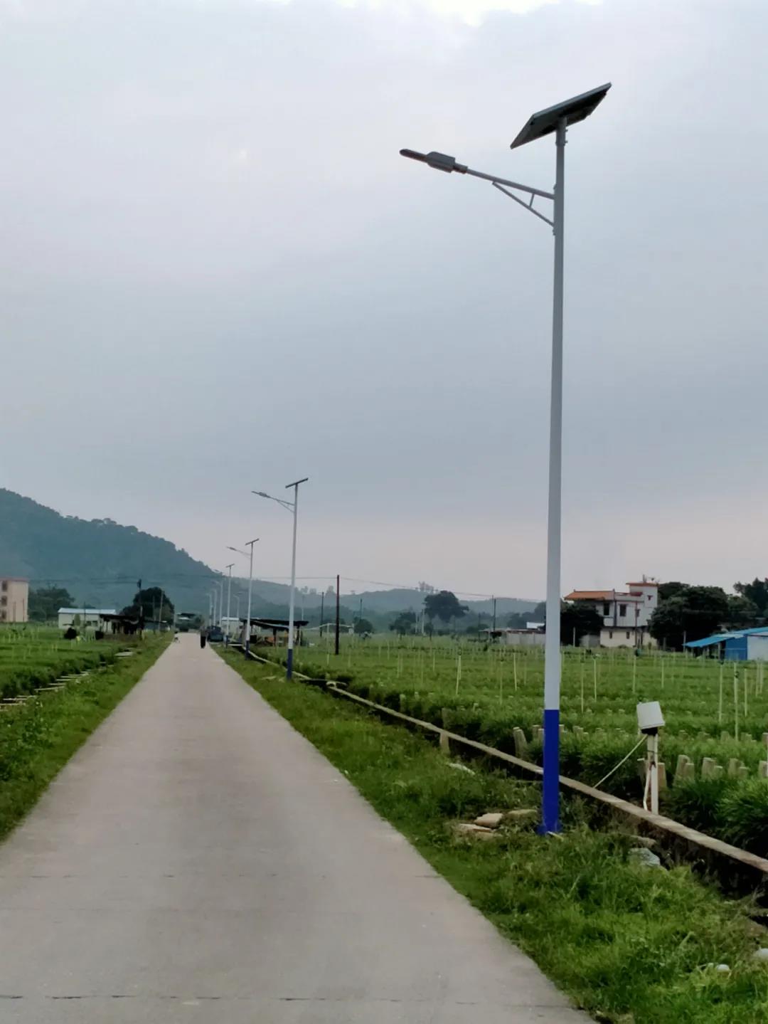 案例賞析〡云雁高飛，助力鄉(xiāng)村振興
